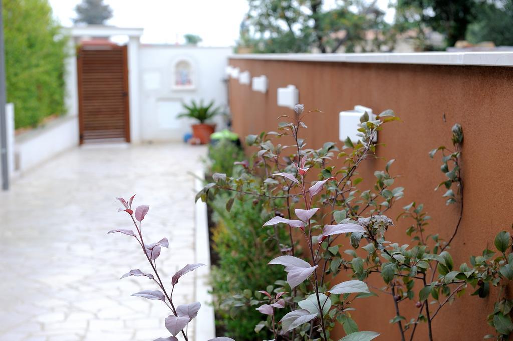 B&B Sun House Modugno Exterior photo